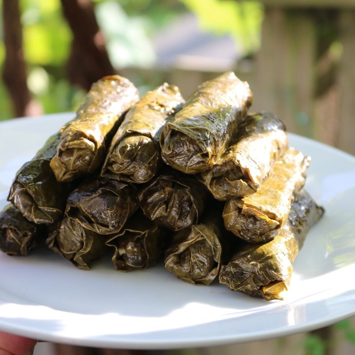 Stuffed Grape Leaves - Cinematic high-resolution food photography